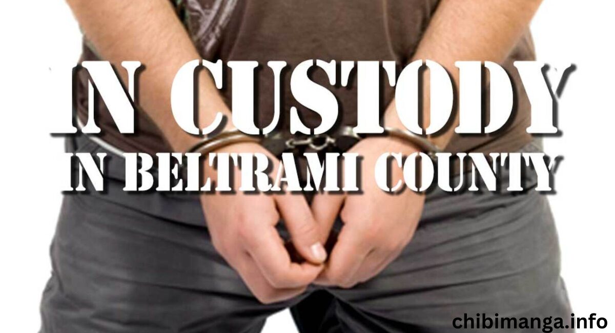 Comprehensive Overview of Beltrami County MN Jail In-Custody List