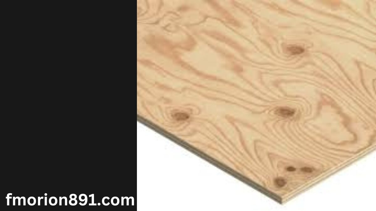 Understanding the Prompt and Data Limitations for "5/8 Plywood" Search Results